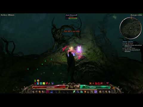 Grim Dawn Avris Morwill facetank