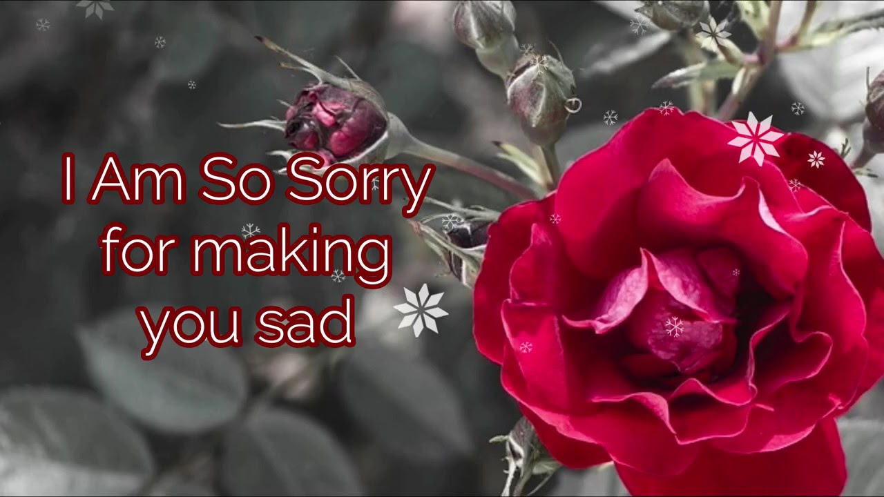 Forgiveness Message for Apology: I’m Sorry Messages : Apology Texts for Loved one and Special Ones