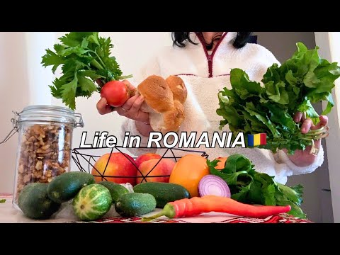 Life in ROMANIA in a small Town: A Realistic Vlog*