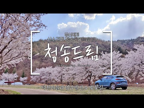 청송드림ㅣ청송의 봄을 드립니다