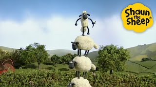 Download lagu Sheep Tower!🐑 Shaun the Sheep 🐑 - Cartoons for Kids 🐑 Full Episodes Compilation [1 hour] mp3