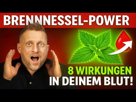 Die Brennnessel-Lüge: Jeder kennt sie, doch sie heilt dein Blut in nur 21 Tagen!
