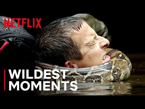 Bear’s WILDest Moments 🤯 Animals on the Loose: A You vs Wild Movie | Netflix Family