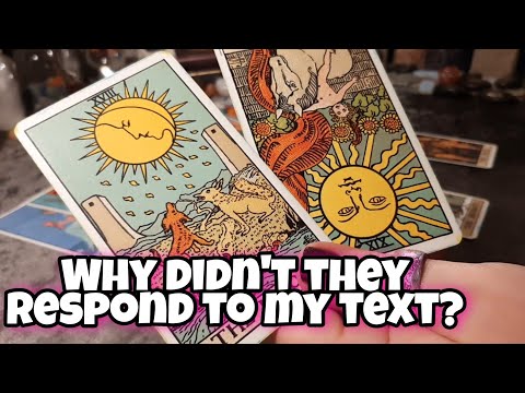 Tarot Reading: Why didn't they respond to my text? Will they reach out? Timeless | Hope Tarot Daily