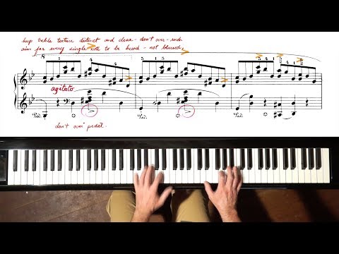 Chopin Ballade No.1 TUTORIAL - P. Barton, FEURICH piano