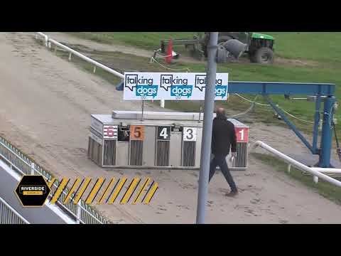 Billis Tudor - Larry O'Rourke National Produce Stakes Round 1 Heat 2