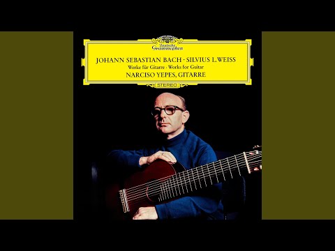 J.S. Bach: Partita No. 2 for Solo Violin in D Minor, BWV 1004: V. Chaconne