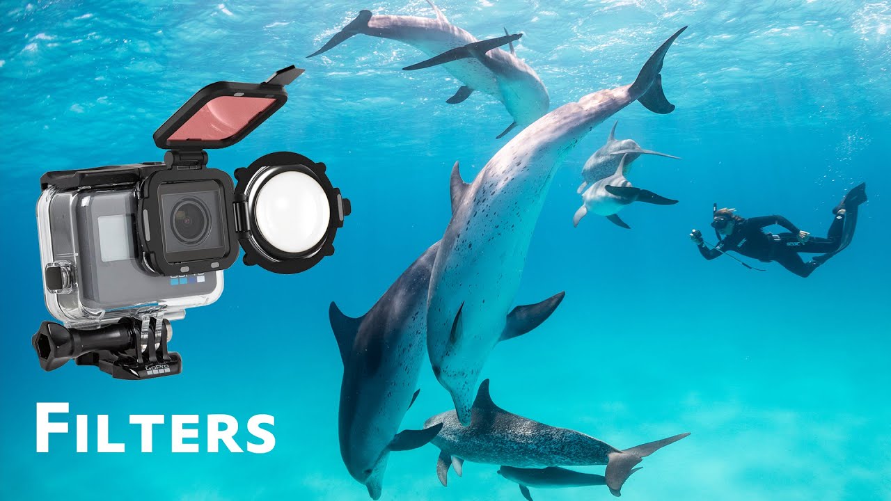 All About GoPro Filters Underwater