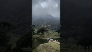 Download lagu HARI INI ESOK DAN SETERUSNYA #liriklagu #tiktok #shorts mp3 Download lagu HARI INI ESOK DAN SETERUSNYA #liriklagu #tiktok #shorts mp3