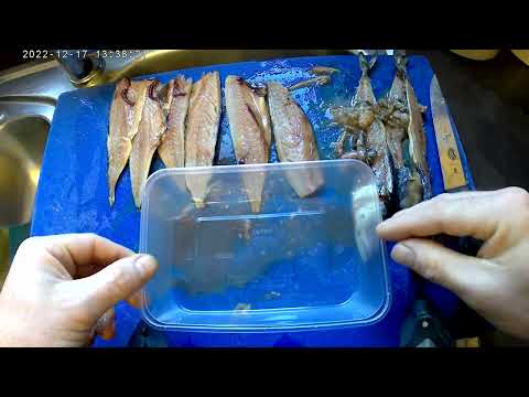How to prepare and salt preserve mackerel, and other fish. Fish love salted baits.