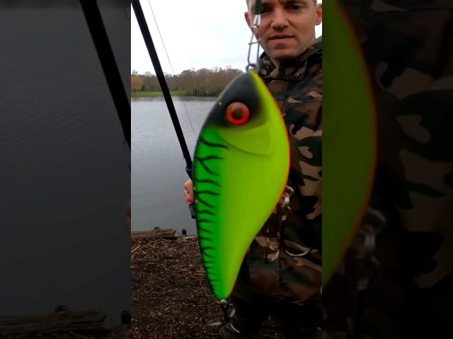 Vídeo relacionado con Westin Swim Tail Hybrid 12 cm 62 g Suspending 1 Body 2 Tails Lagoon Pike