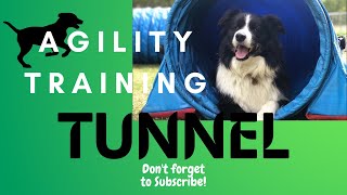Tunnel - Dog Agility Training! (Quick and Easy! Learn TODAY!)