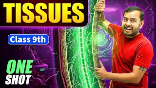 Tissues Class 9 | Complete CHAPTER IN ONE SHOT | NCERT Covered | Alakh Pandey