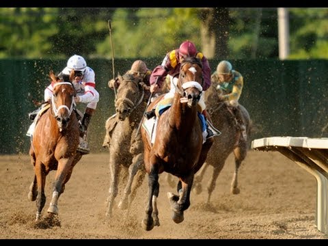 2008 Haskell Invitational Stakes - Big Brown