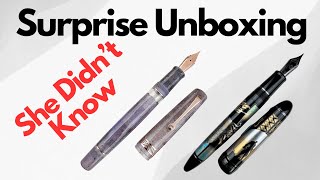 Surprise Leonardo And Sailor Unboxing