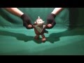 Crazy Monkey / Обезьяна Чи Чи Чи 