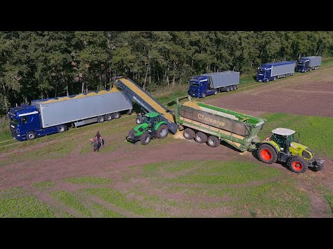 Mais 2023 : 2x Fendt 1050 | Krone BIG X 1180 |  Xerion 4200 | 9 Trucks | CH Bakumer Agrarservice |4K
