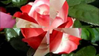 Download lagu o o jane jana remix by(Dj Ajan).flv mp3