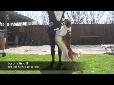 Här kommer lilla Ludde - stor 1.m4v