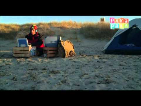 Diario de viaje: Ballenas y gaviotas - Canal Pakapaka