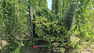Agrotip vagnar för lantbruk till salu - Bild 4 | Agroline SE Agrotip vagnar för lantbruk | Bild 4 - Agroline