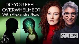 Embracing Our Emotional Experiences Alexandra Roxo | Insights at the Edge Podcast Clips