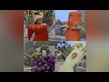 Barney Song Have A Snack Barney S Sense Sational Day