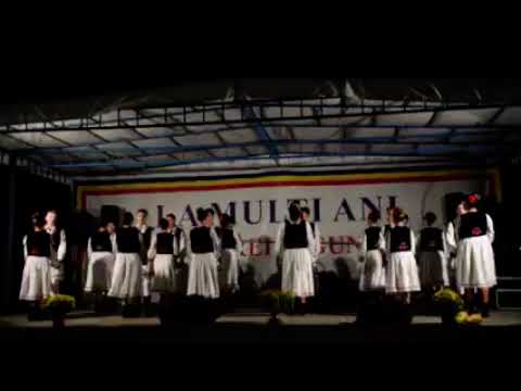 Romanasul Zimandu Nou - Zilele localității Andrei Saguna 2022 🇷🇴