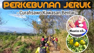 Gowes Bareng ke Kebun Jeruk Gunung Bentar Probolinggo (Berangkat rombongan pulang misah) #derJourney