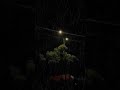 Barish New Status ️ ️ Shorts Subscribe Love Tranding Reels Story Rain