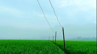 Download lagu Story WA pagi hari | Cinematic 30 detik | Cinematic Video |  Aeshetic Alam | Sinematic estetic keren mp3