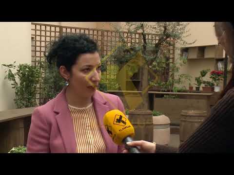 Program 3-vjecar investimi ne 100 fshatra