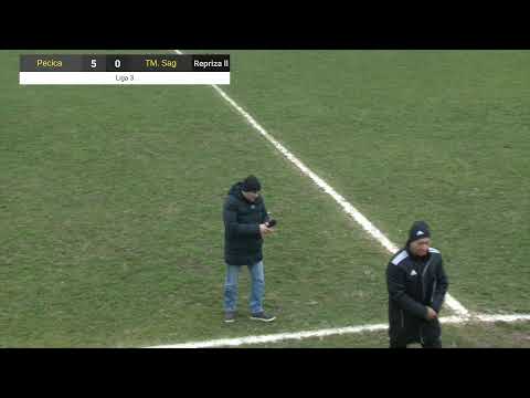 Progresul Pecica - Timisul Sag