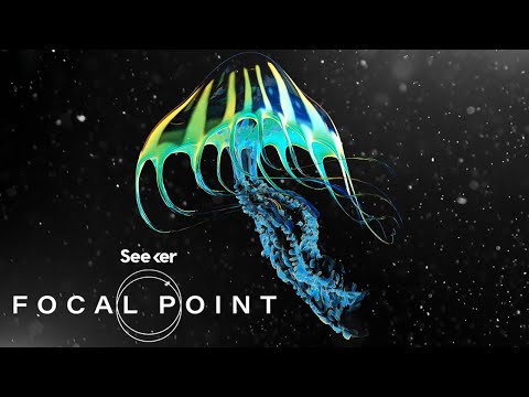 We Found Radioactive Traces From Nuclear Bombs in the Mariana Trench