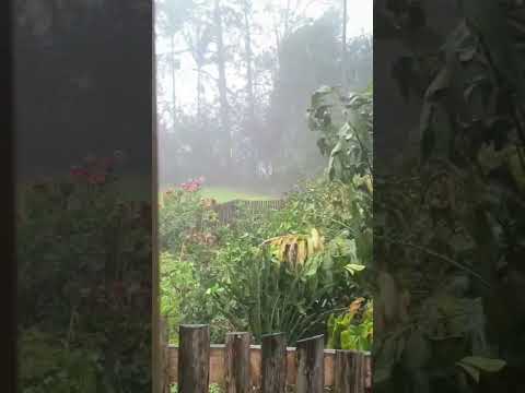 Chuva de granizo em Ervália - Muita pedra de gelo - Minas Gerais