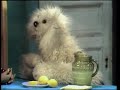 Classic Sesame Street Rufus Sells Lemonade 1969 Part 3