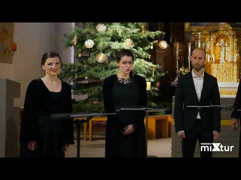 "Es wird scho glei dumpa" (Anton Reidinger) | Ensemble miXtur