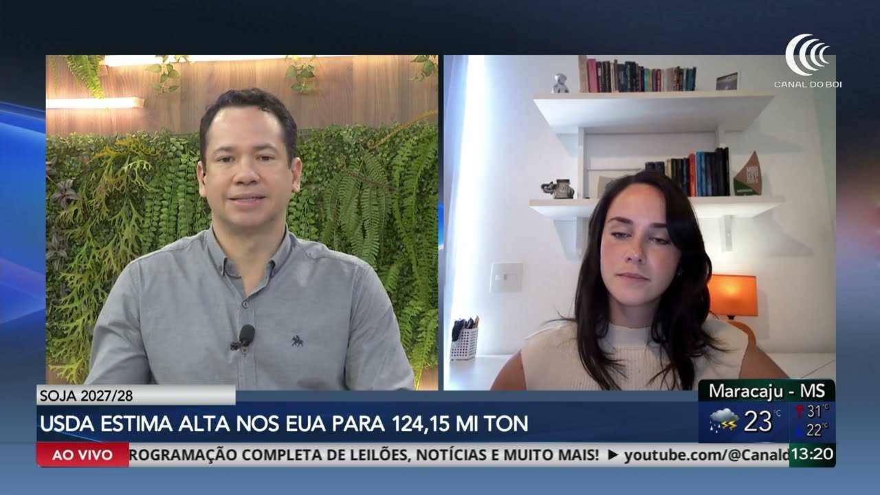 USDA eleva projeções de produção de soja e milho nos Estados Unidos