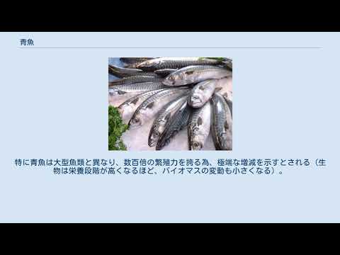 , title : '青魚'