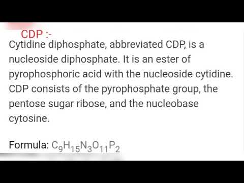 N2 bases NITROGENOUS BASES PURINS AND PYRIMINDINS BIOTECHNOLOGY BY PHANINDRA GUPTHA