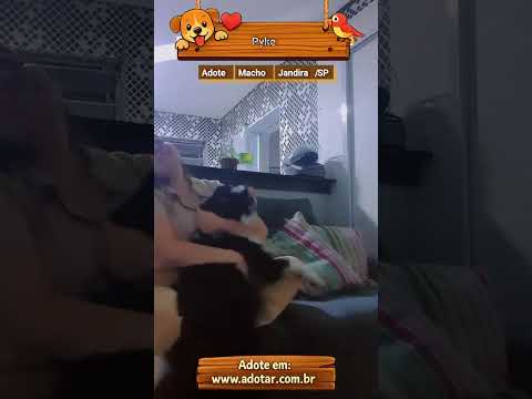 Vídeo de Pyke