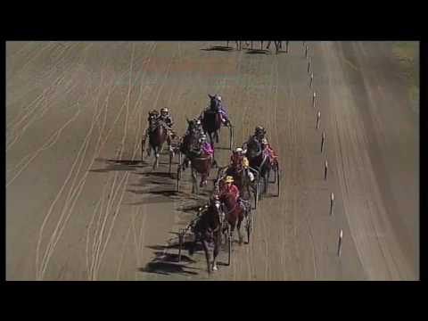 TABCORP PK MENANGLE - 28/05/2016 - Race 8 - MIR GROUP TROTTERS CHAMPIONSHIP FINAL