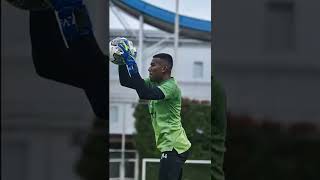 Download lagu KIPER TERBAIK BRI LIGA 1 INDONESIA !! 😎😎 mp3