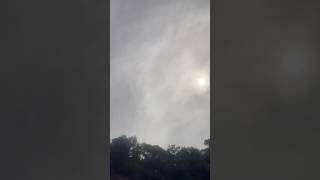 #nature
