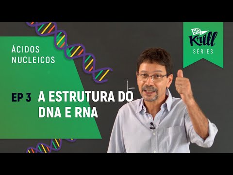 BioKrill Series - Estrutura do DNA e RNA (Ácidos Nucleicos - EP 3)