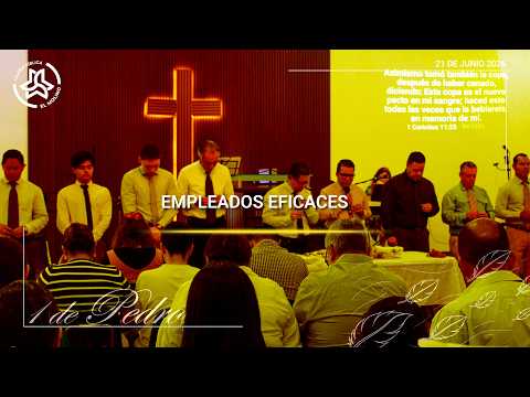 Empleados eficaces