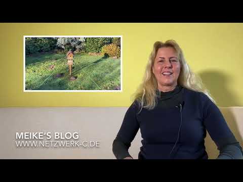 Vlog 222- Auswirkung von Segen (Zeugnisse)