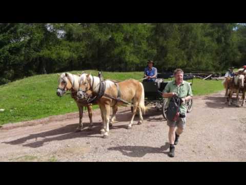 Jenesien Südtirol - Urlaubsgenuss pur