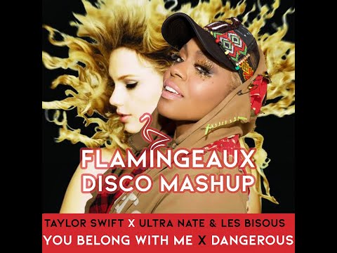 Taylor Swift x Ultra Nate & Les Bisous - You Belong With Me x Dangerous - Flamingeaux Disco Mashup