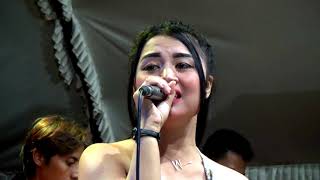 Download lagu SATU HATI SAMPAI MATI RISSA AMELIA NEW BIMA THE BASIC DANGDUT KOPLO JAMAL SOUND LIGHTING TODANAN mp3 Download lagu SATU HATI SAMPAI MATI RISSA AMELIA NEW BIMA THE BASIC DANGDUT KOPLO JAMAL SOUND LIGHTING TODANAN mp3